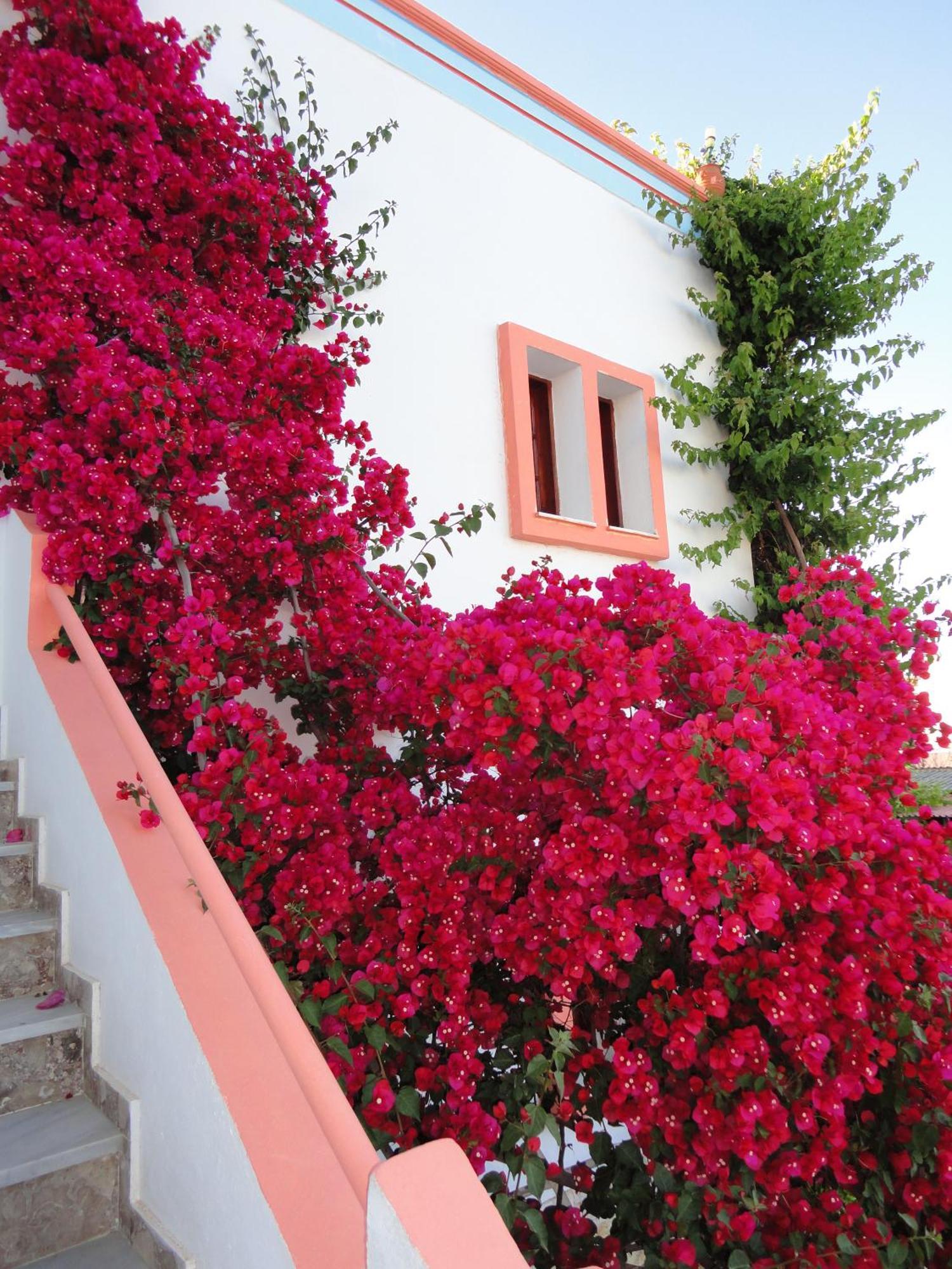 Villa Elizea Stalós Buitenkant foto