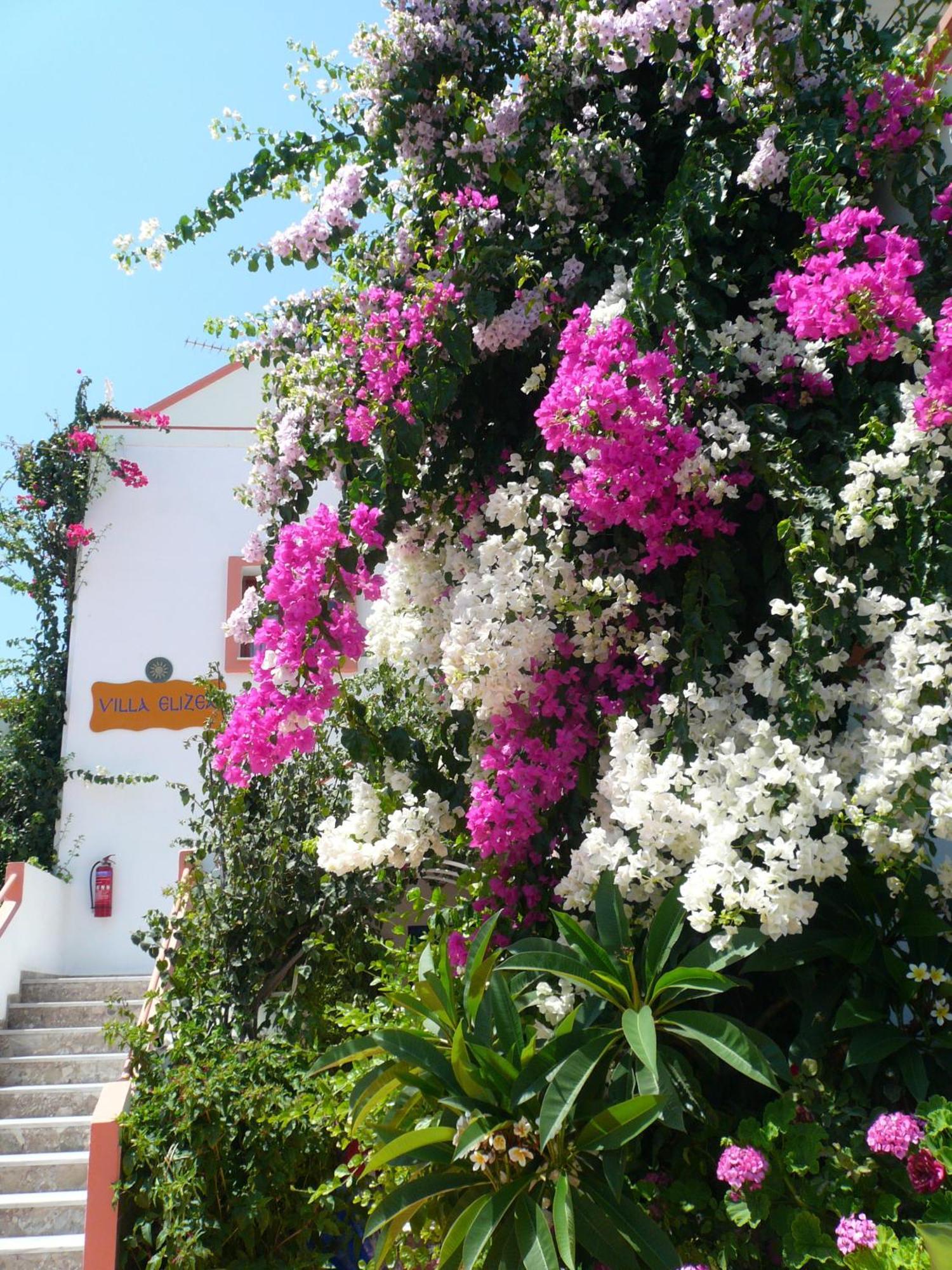 Villa Elizea Stalós Buitenkant foto