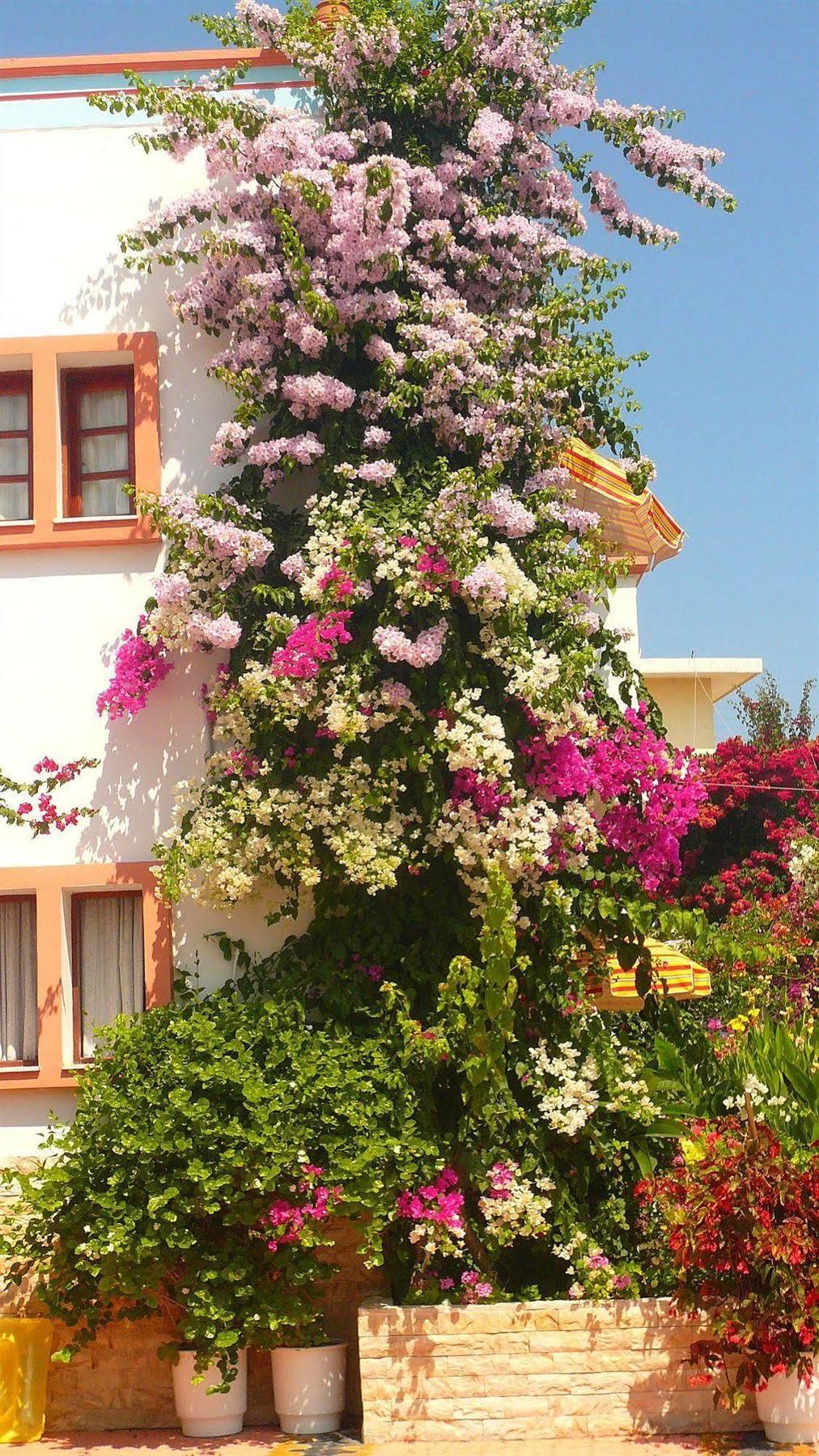 Villa Elizea Stalós Buitenkant foto